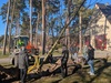 Meisteranwärter pflanzen einen Baum