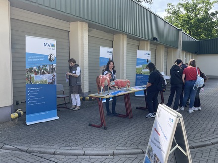 der Blick auf den Stand der Fachschule